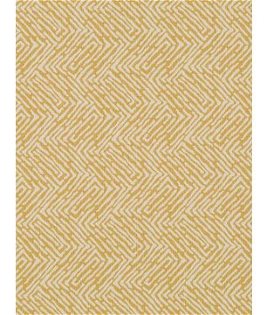 Robert Allen @ Home Randili Maze Zest Fabric