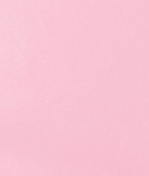 Pink Felt Fabric & Supplies