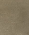 Kravet Rambler Antler Fabric