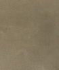 Kravet Rambler Antler Fabric