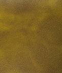 Kravet Rambler Cactus Fabric
