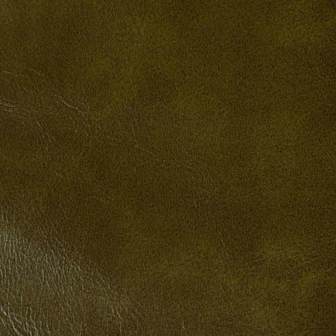 Kravet Rambler Olive Branch Fabric