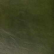 Kravet Rambler Verde Fabric