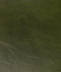 Kravet Rambler Verde Fabric