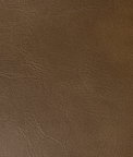 Kravet Rambler Chicory Fabric