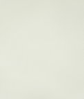 Kravet Rand Gesso Fabric