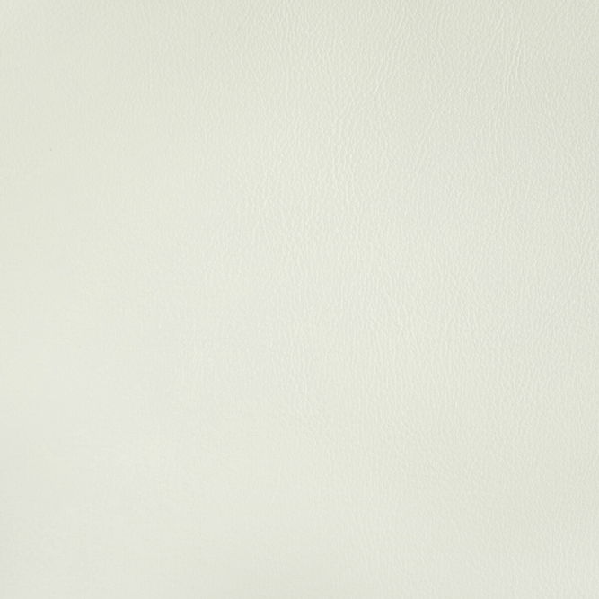 Kravet Rand Gesso Fabric