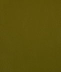 Kravet Rand Wasabi Fabric