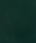 Kravet Rand Forest Fabric