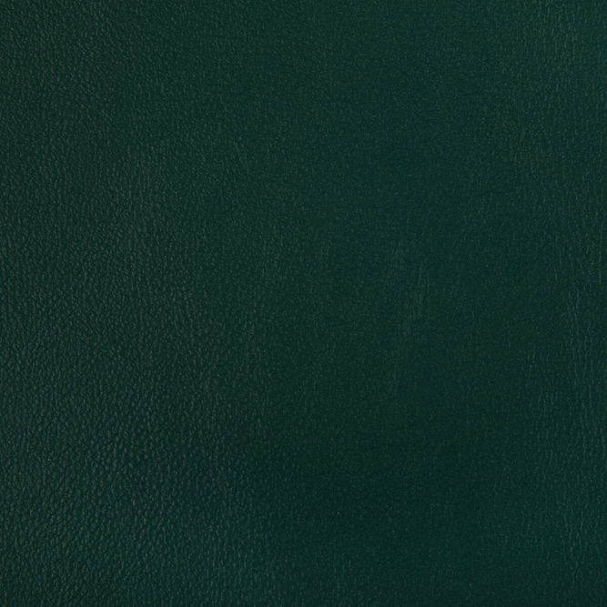 Kravet Rand Forest Fabric