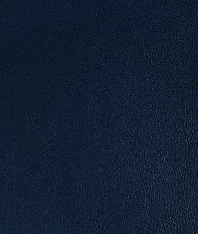 Kravet Rand Sapphire Fabric