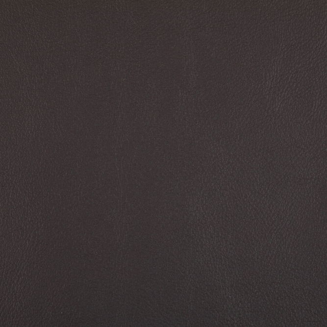 Kravet Rand Mocha Fabric