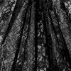 Black Raschel Lace Fabric - Image 2