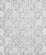 White Raschel Lace