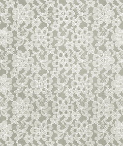 Ivory Raschel Lace