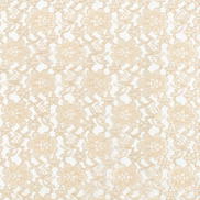 Champagne Raschel Lace Fabric