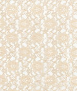 Champagne Raschel Lace