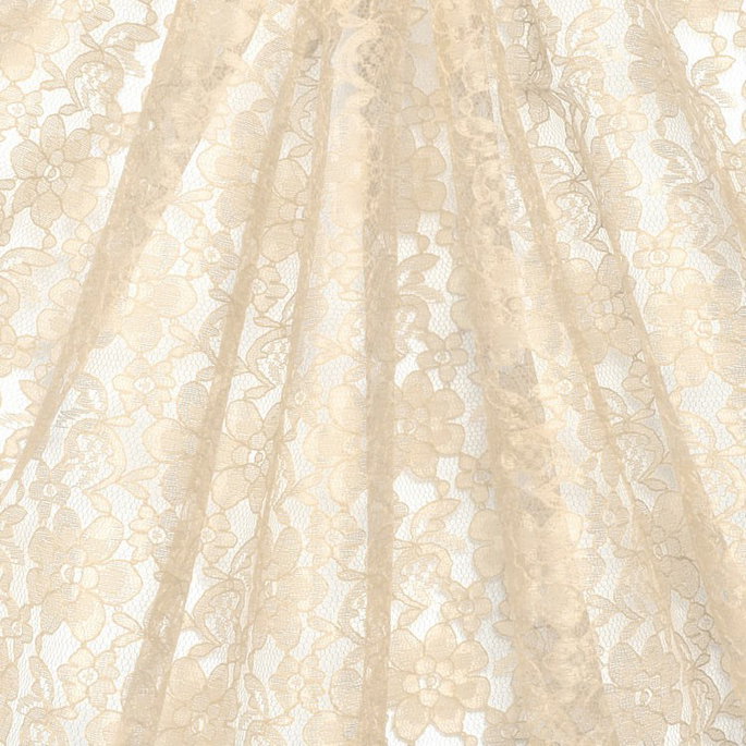 Champagne Raschel Lace Fabric image 2 of 2