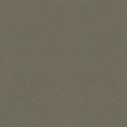 Kravet RIGEL.11 Fabric