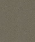 Kravet RIGEL.11 Fabric