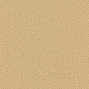 Kravet RIGEL.16 Fabric