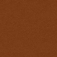 Kravet RIGEL.24 Fabric