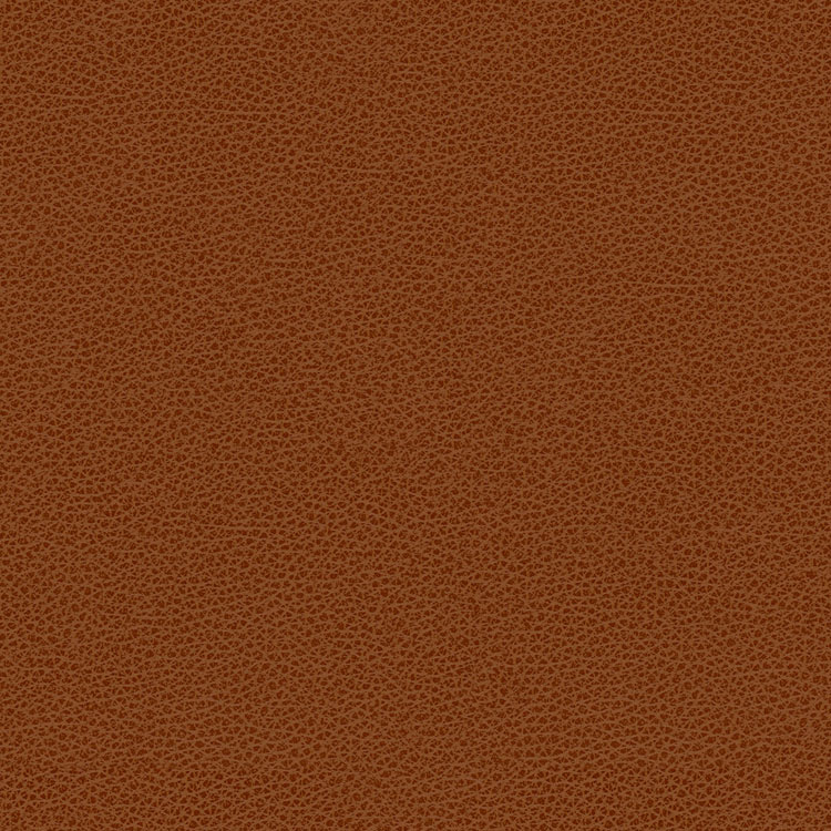 Kravet RIGEL.24 Fabric