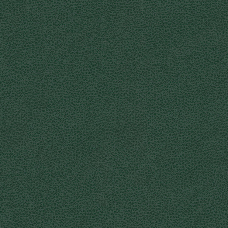 Kravet RIGEL.5 Fabric