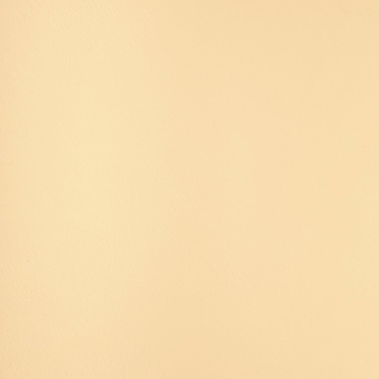 Kravet Rind.101.0 Fabric