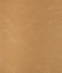 Kravet Rind.116.0 Fabric