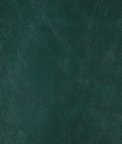 Kravet Rind.35.0 Fabric