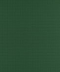 Forest Green 70 Denier Nylon Ripstop Fabric