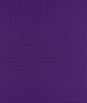 Purple 70 Denier Nylon Ripstop Fabric