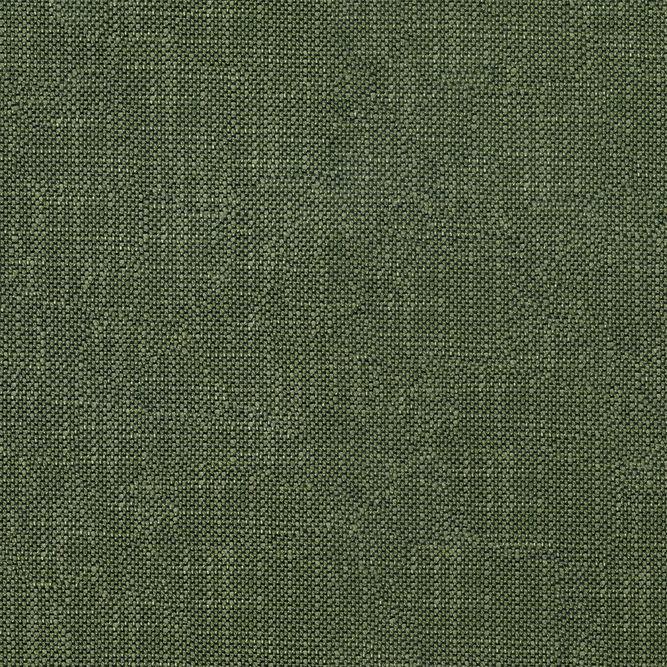 ABBEYSHEA Striving 202 Alpine Fabric