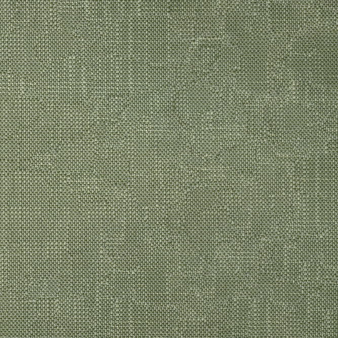 ABBEYSHEA Striving 205 Sage Fabric