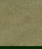 ABBEYSHEA Riot 202 Lichen Fabric