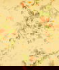 RK Classics Grace Rose Garden Fabric