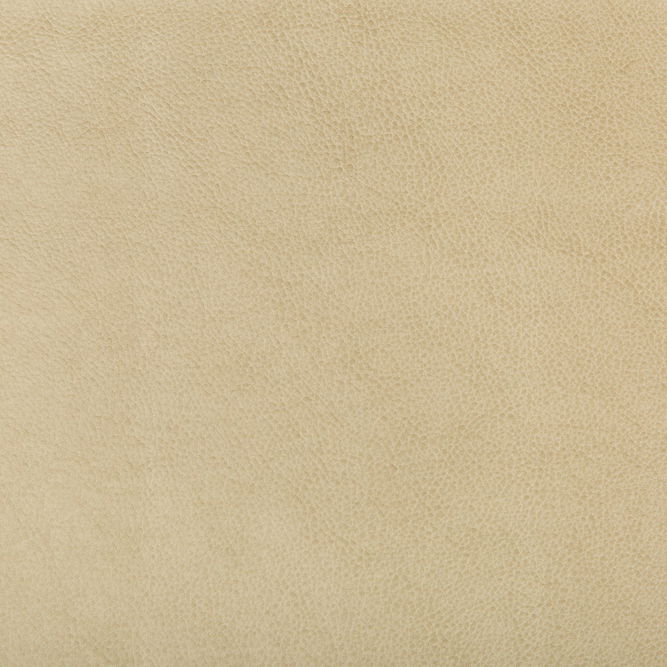 Kravet Design Ruffian-16 Fabric