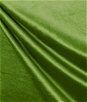 Moss Green Classic Royal Velvet Fabric