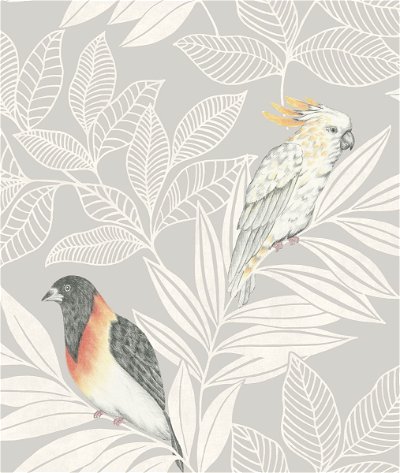 Seabrook Designs Paradise Island Birds Daydream Gray & Ivory Wallpaper