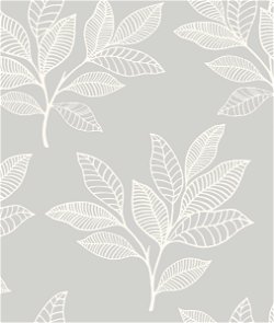 Seabrook Designs Paradise Leaves Daydream Gray Wallpaper