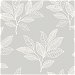 Seabrook Designs Paradise Leaves Daydream Gray Wallpaper thumbnail image 1 of 2