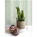 Seabrook Designs Tikki Natural Ombre Washed Jade &amp; Aloe Wallpaper thumbnail image 2 of 2