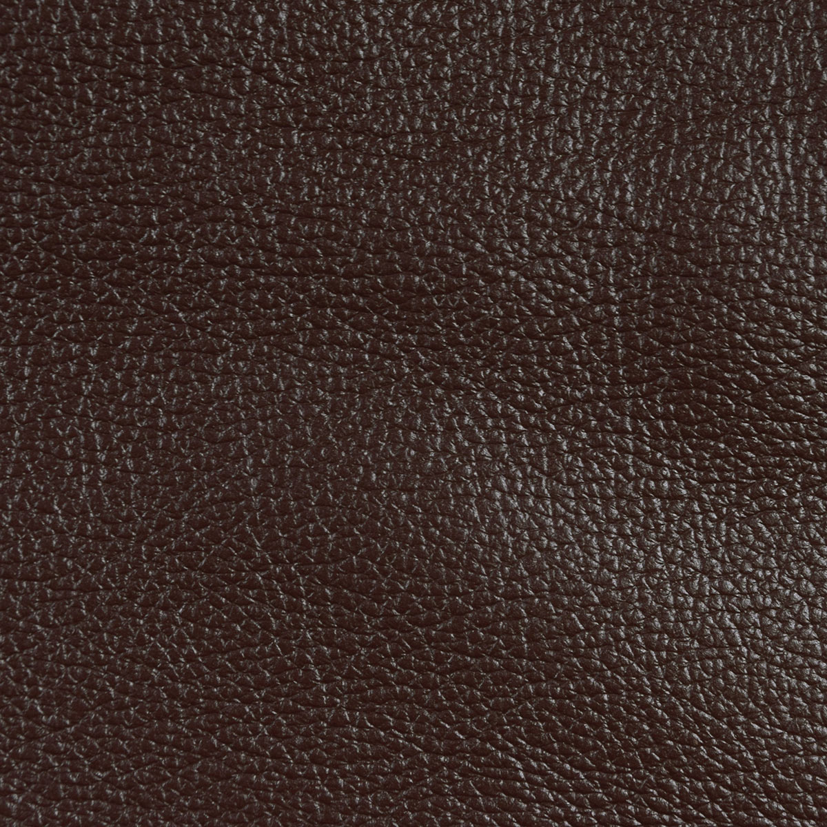 Samba Coffee Leather Cow Hide | OnlineFabricStore