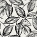 Seabrook Designs Beckett Sketched Leaves Volcanic Black Wallpaper