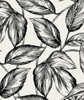 Seabrook Designs Beckett Sketched Leaves Volcanic Black Wallpaper