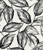 Seabrook Designs Beckett Sketched Leaves Volcanic Black Wallpaper