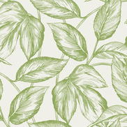 Seabrook Designs Beckett Sketched Leaves Apple Green Wallpaper