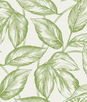 Seabrook Designs Beckett Sketched Leaves Apple Green Wallpaper