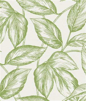 Seabrook Designs Beckett Sketched Leaves Apple Green Wallpaper